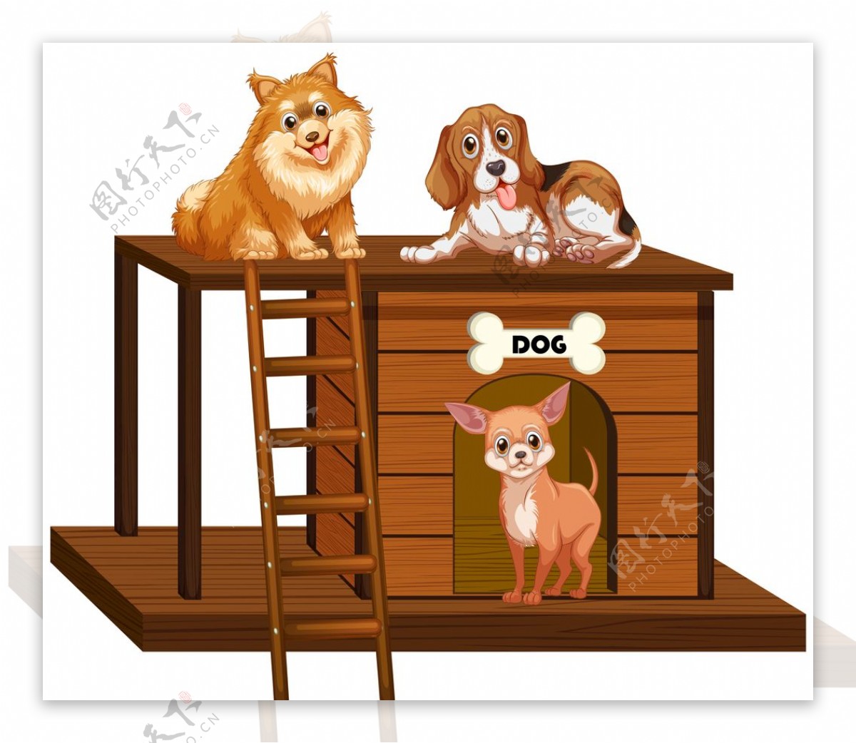 狗动物卡通图片