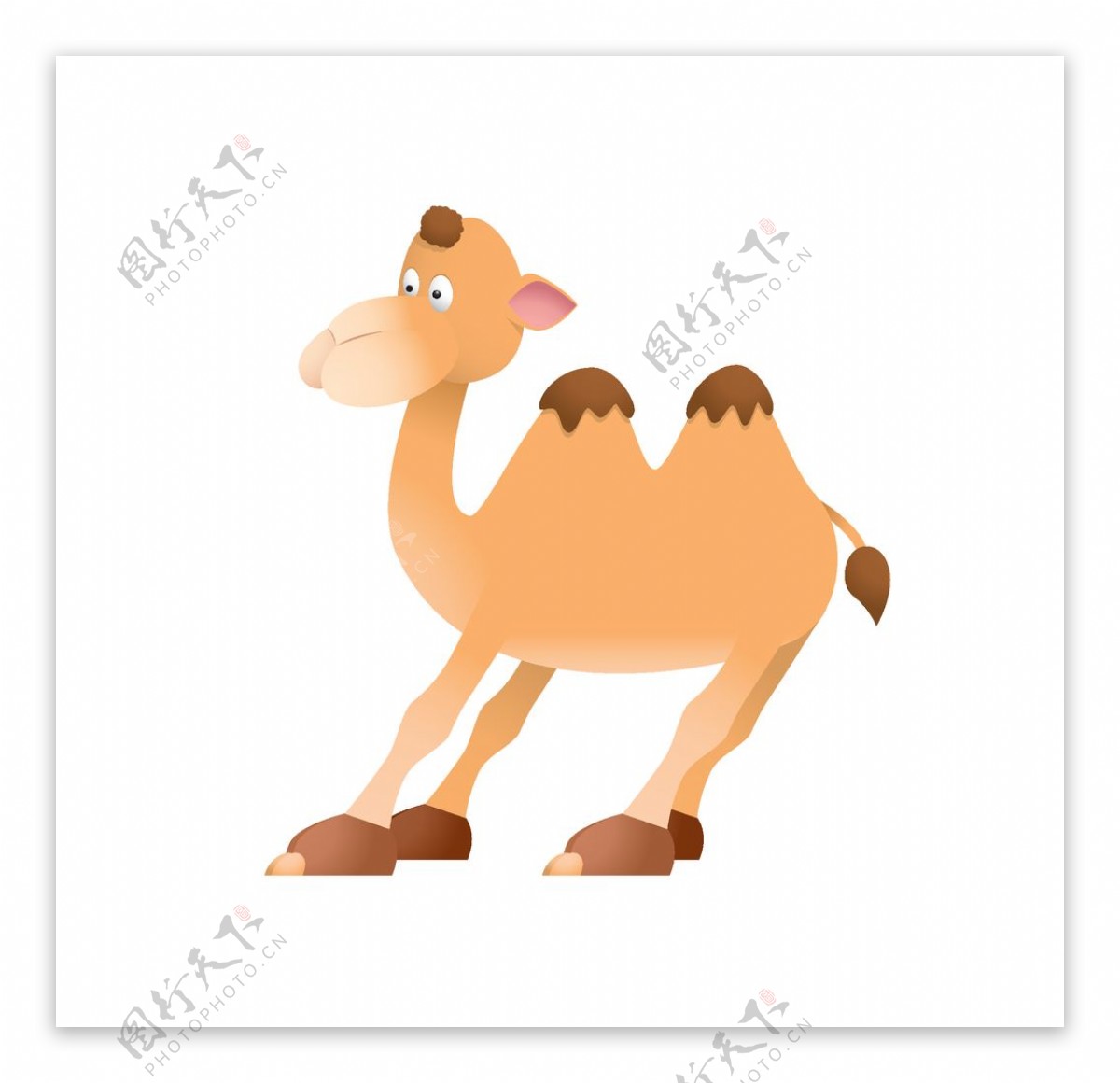 手绘卡通骆驼图片免抠png透明图层图片素材-编号24728790-图行天下
