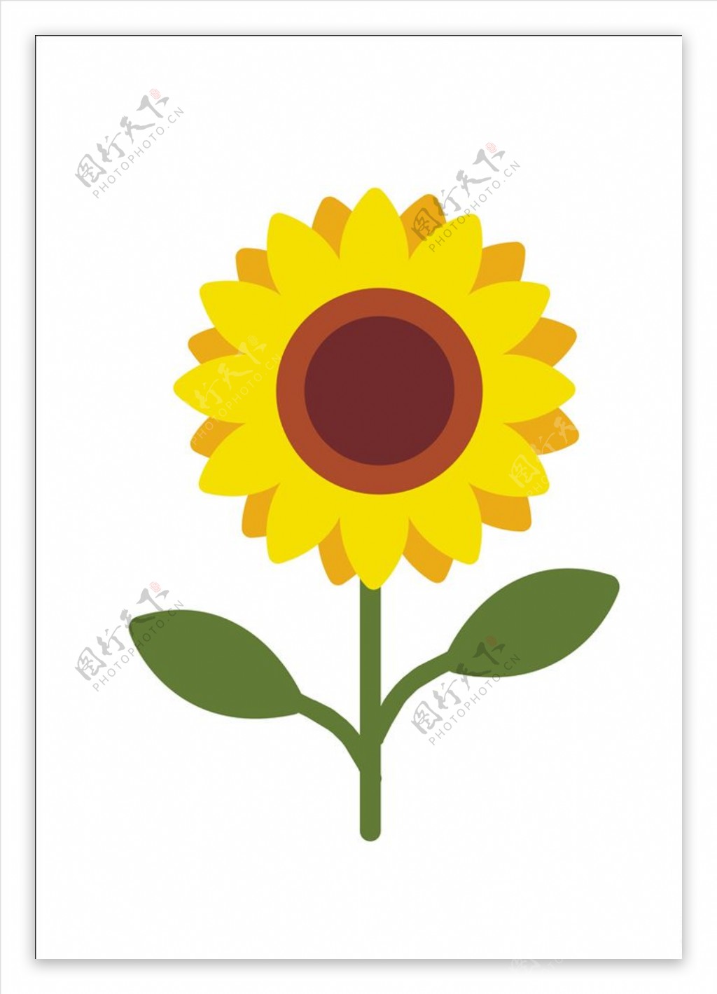 向日葵太阳花矢量金黄色图片