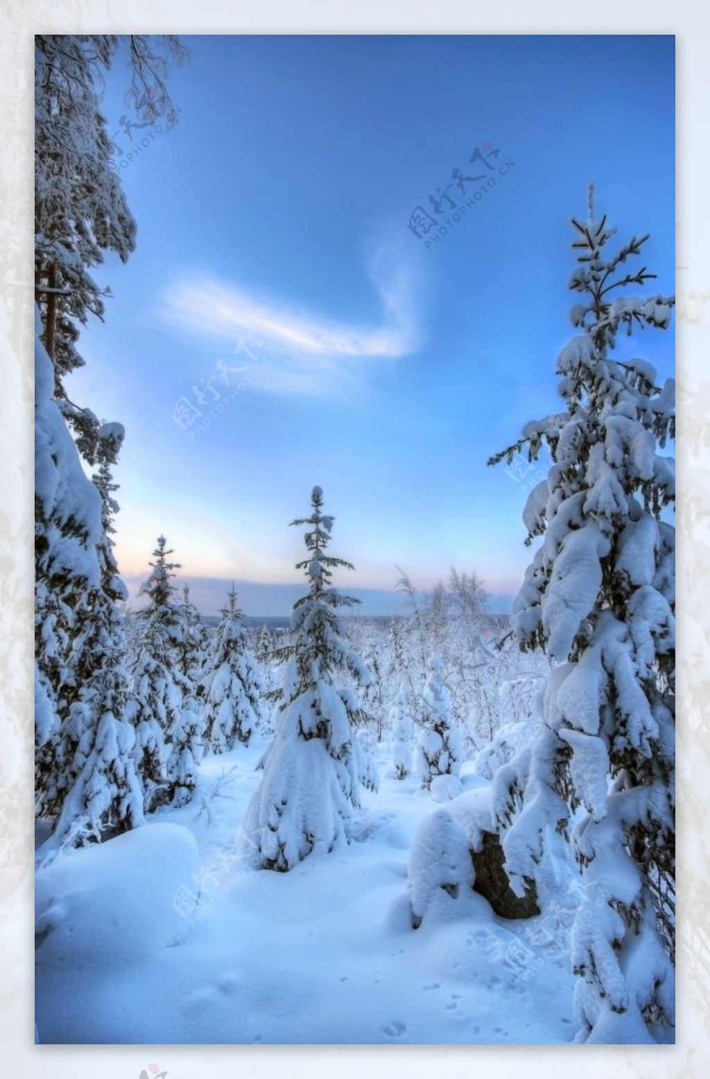 雪景图片