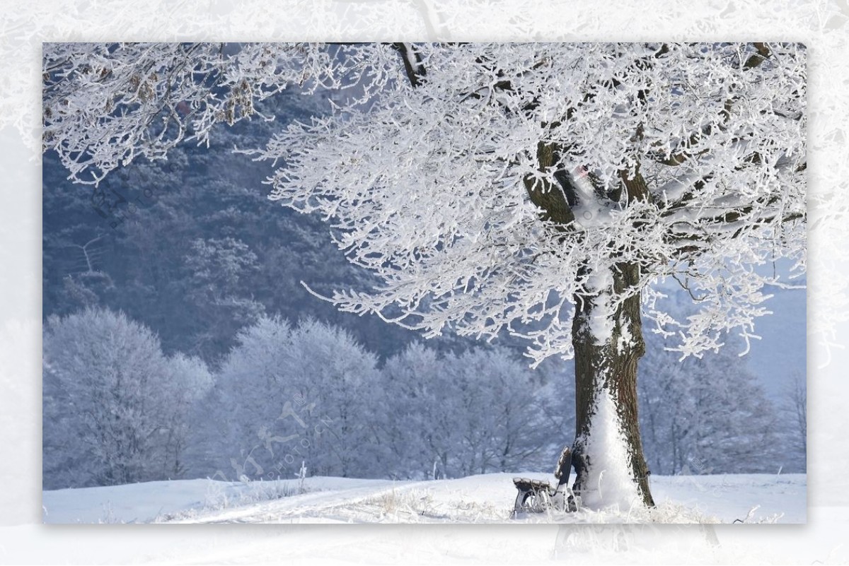 雪景图片