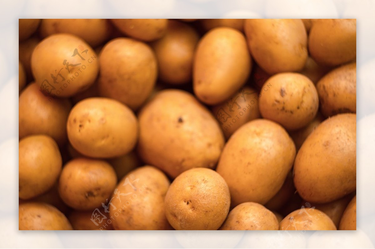 土豆变“金豆” 村民展笑颜-西部之声