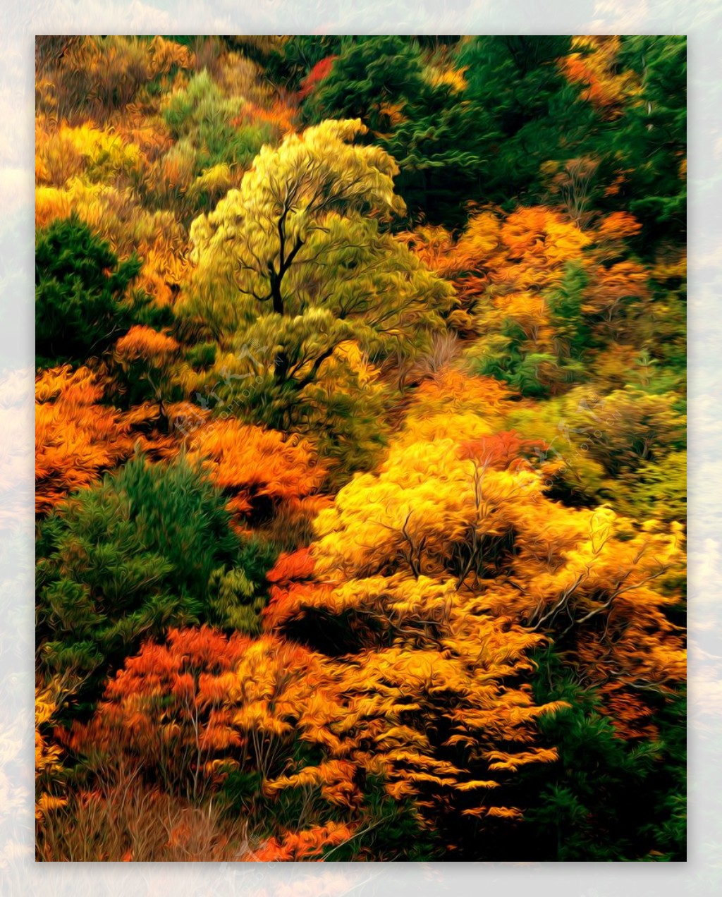 枫树林风景油画图片