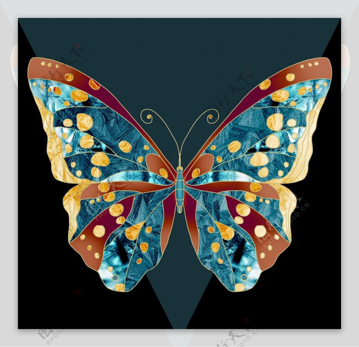 蝴蝶抽象图片