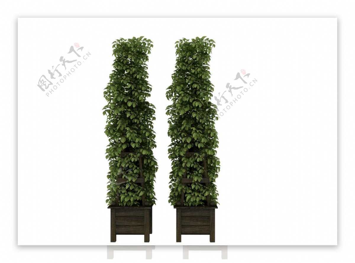 植物架子3d模型图片