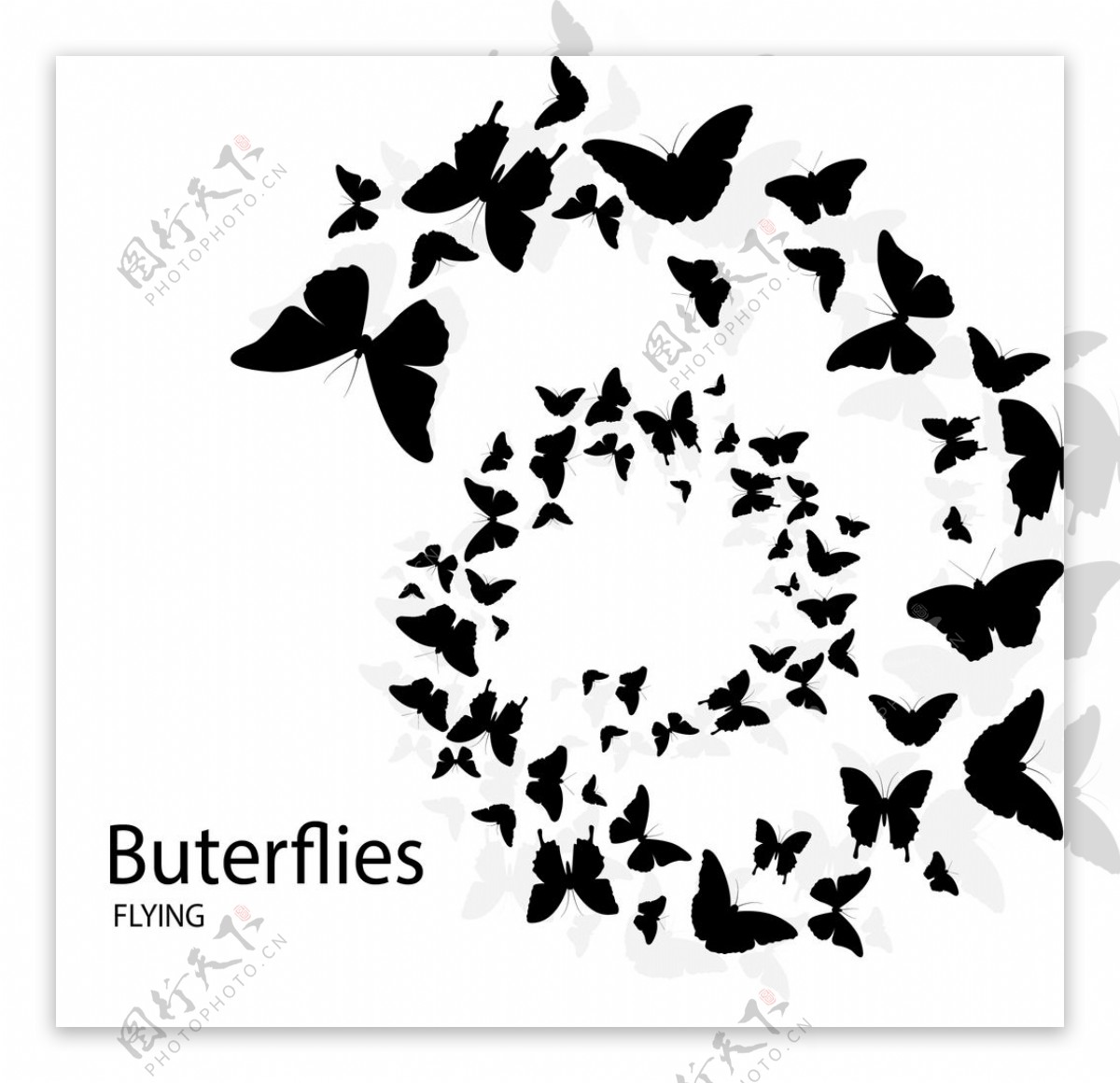 蝴蝶动物图片