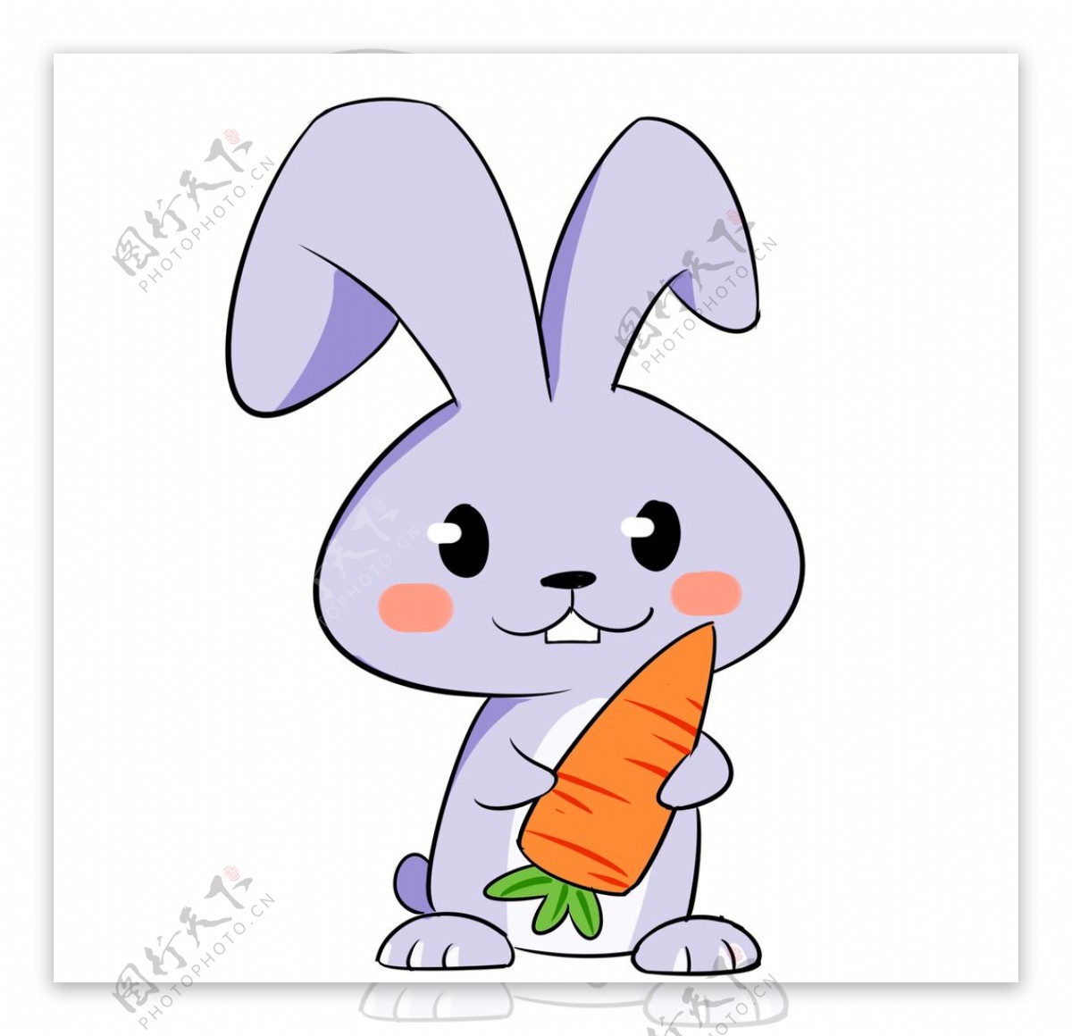 怀抱胡萝卜的兔子图片